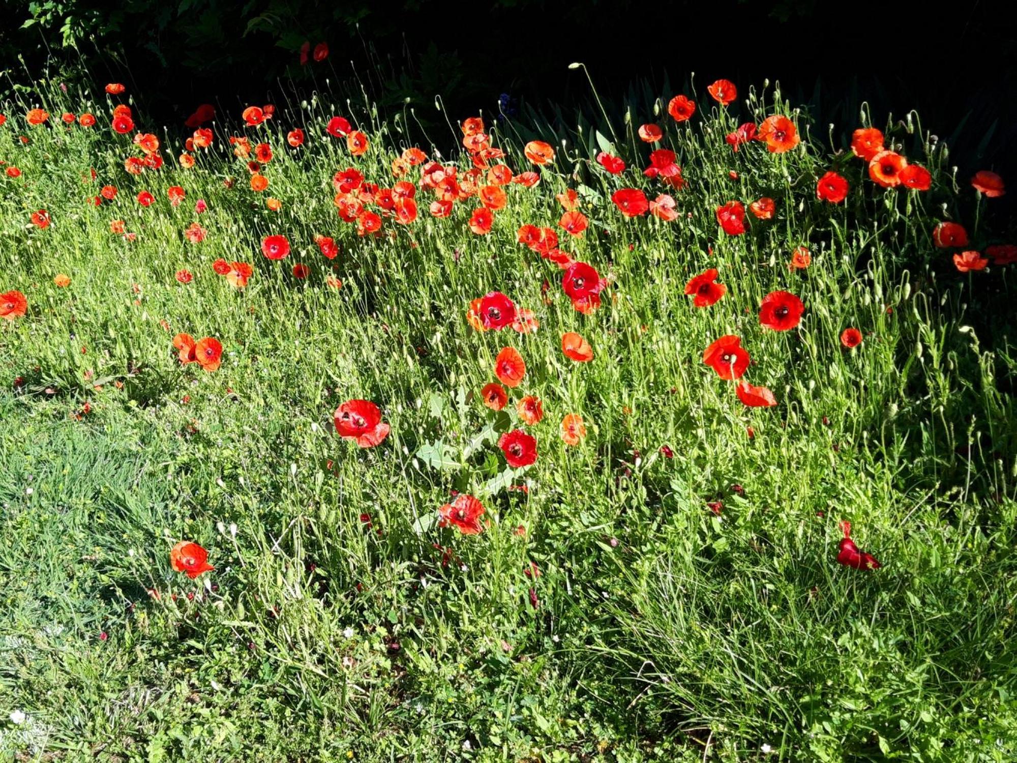 La Passagere Bed and Breakfast Hauterive  Εξωτερικό φωτογραφία