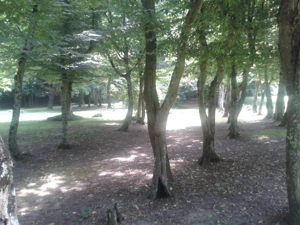 La Passagere Bed and Breakfast Hauterive  Εξωτερικό φωτογραφία